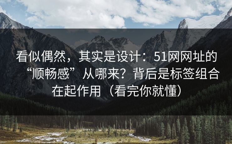 看似偶然，其实是设计：51网网址的“顺畅感”从哪来？背后是标签组合在起作用（看完你就懂）